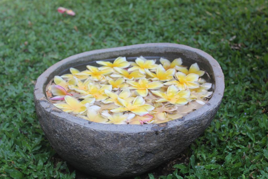 Odah Ayu Guest House Ubud Eksteriør billede
